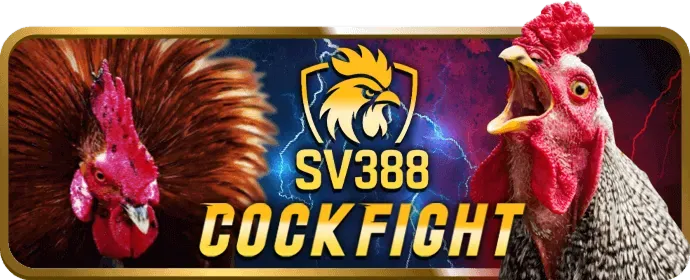 Đa dạng các trận đấu thể thao và trò chơi casino trực tuyến tại W88Sports
